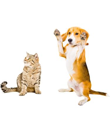 Vet's Advantage 100% Pure Boswellia Powder for Dogs - Supports Joint and Hip Health And Provides Natural Control of Pain and Inflammation for Dogs and Cats - Buy Online on GoSupps.com