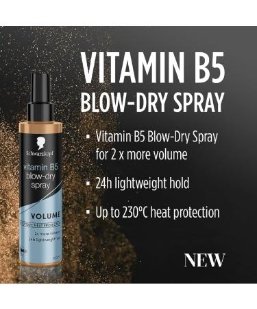 Schwarzkopf Styling Vitamin B5 Blow-Dry Hair Spray Volume and Shine 24hr hold 100 C heat protectant spray 200ml Pack of 2 200 ml (Pack of 2) - Buy Online on GoSupps.com