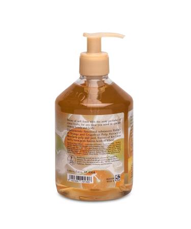 L'Erbolario Hand and Body Cleanser - Citrus Fresh Foam Silicone & Paraben Free - Soft & Clean Skin for All Types - 16.9 oz - Daily Use Body Wash - Buy Online on GoSupps.com