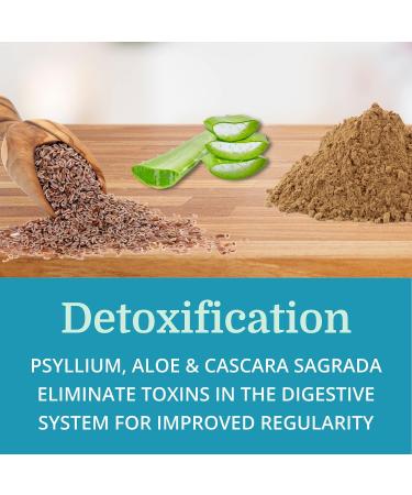 Morter HealthSystem Alka Cleanse - Herbal Alkaline Detox & Colon Cleanse Formula with Psyllium Husk, Probiotics, Enzymes & Herbs - Buy Online on GoSupps.com
