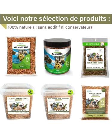 Dried Mealworms 500g 3250ml - Premium Quality Treat for Birds Hedgehogs Turtles Reptiles Fish Rodents - Buy Online on GoSupps.com