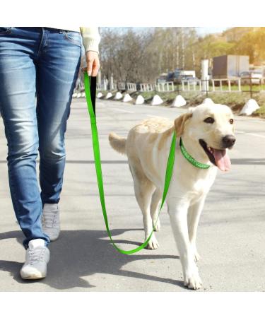 Tagme Personalized Reflective Nylon Dog Collar for Medium Dogs - Embroidered with Pet Name & Phone Number - Green (1 Pack) - Buy Online on GoSupps.com