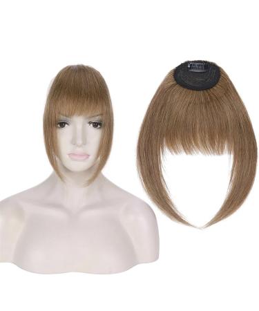 Bangs Clip in Bangs Real Human Hair Bangs for Women Clip on French Bangs Real Hair Nice Natural Flat Neat Bangs with Temples 1Pcs for Women Curved Bangs for Daily Wear (Color : #6)