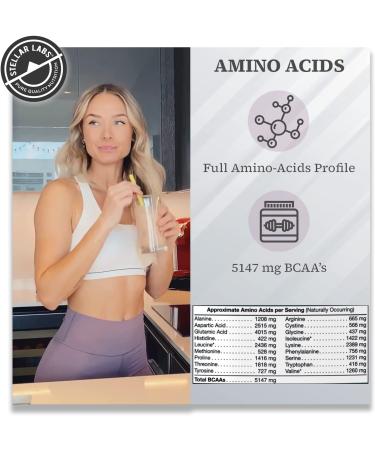 Stellar Labs Chocolate Whey Protein Powder with BCAA's & Whey Isolate | Low FODMAP Certified, Non GMO, Gluten Free, Soy Free | Ideal for Keto & Post Workout | 2lb Pack - Buy Online on GoSupps.com