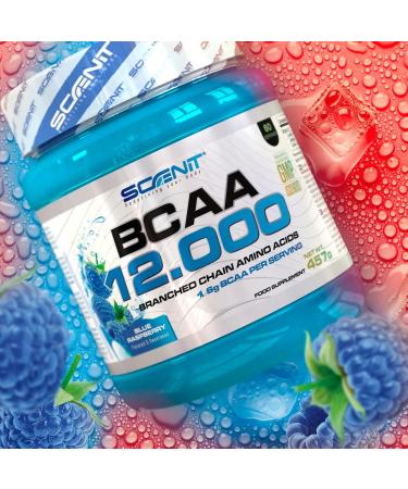 BCAA Powder - BCAA 12-457g - BCAA - BCAA 2.1.1 - BCAA Powder - Amino Acid - Amino Acid - Amino Acids - Leucine Valine Isoleucine - Amino Acids (Blue raspberry) - Buy Online on GoSupps.com
