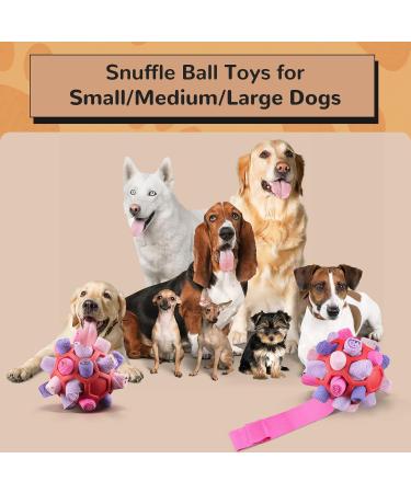 Shop Larimuer Sniffing Ball for Dogs | Interactive Portable Toy for Small to Medium Dogs | Red & Purple Sniffing Car Toy - Buy Online on GoSupps.com
