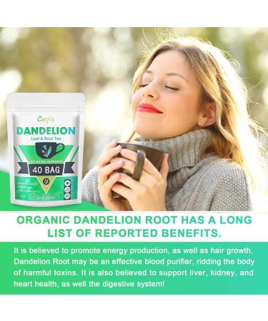 Organic Dandelion Root Tea with Chrysanthemum & Cassia - Digestion & Immune Support - 40 Tea Bags - Buy Online on GoSupps.com