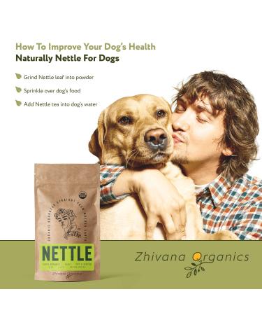 Organic Nettle Leaf Tea - Wild Stinging Nettle Herb for Detox and Allergy Relief - Buy Online on GoSupps.com