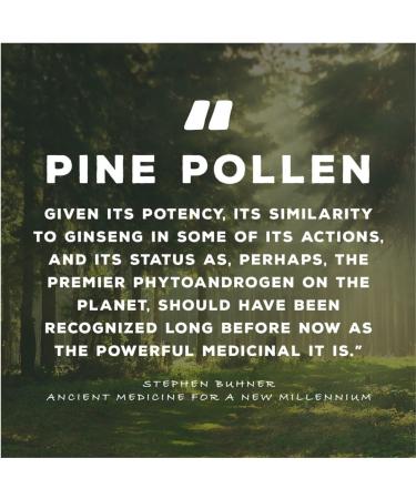Surthrival Pine Pollen Extract - 1.69 fl oz - Increased Stamina, Hormone Balance, Energy Restoration - Buy Online on GoSupps.com