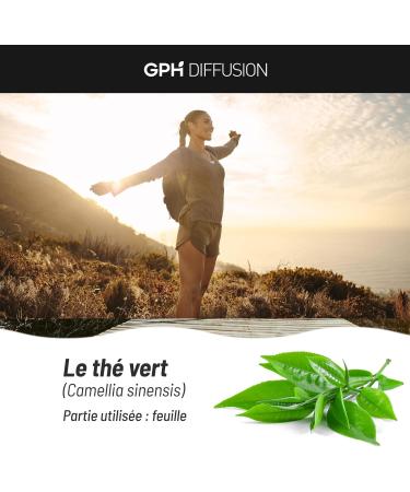 Organic Green Tea 250 mg - 100 Vegetable Capsules - Buy Online on GoSupps.com