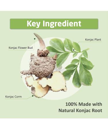 Caloless Konjac Shirataki Noodles 6-Pack - Low Calorie Healthy Food Variety Pack (Chicken/Beef/Chilli & Vinegar) - Gluten Free, Keto Snacks, Non-GMO, Low Carbs, Glucomannan Diabetic Noodle Pasta - Buy Online on GoSupps.com