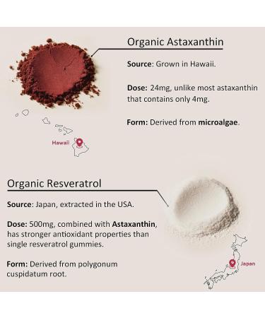 Astaxanthin Supplements 24mg Gummies with Resveratrol Vitamin B1 Coconut Oil - Algae Organic Antioxidants for Men & Women Healthy Aging Skin Eyes Immune - Vegan Sugar-Free Non-GMO 120 Servings 60 Count (Pack of 2) - Buy Online on GoSupps.com