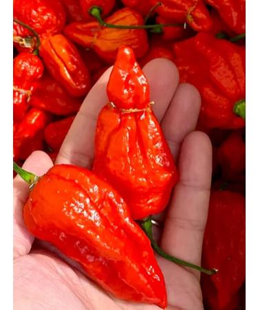 Weymouth 51 Dorset Naga Super Hot Chili Sauce - 220ml | English Grown Chilies | Nagga Sauce - Buy Online on GoSupps.com