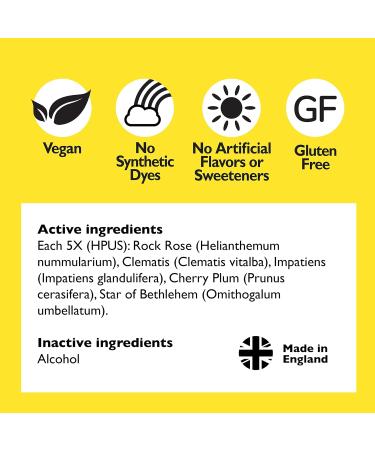 Bach Rescue Remedy Dropper, Natural Stress Relief, Homeopathic Flower Essence, Vegan, Gluten & Sugar-Free, Non-Habit Forming, 2 Pack, 10mL Ea Visit The Rescue Store - Buy Online on GoSupps.com