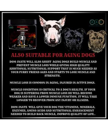 Advanced Animal Care Dog Muscle Builder All Breeds Muscle Gainer for Dogs Dominate Bully Maximum Gain Strength Energy Chew - Buy Online on GoSupps.com