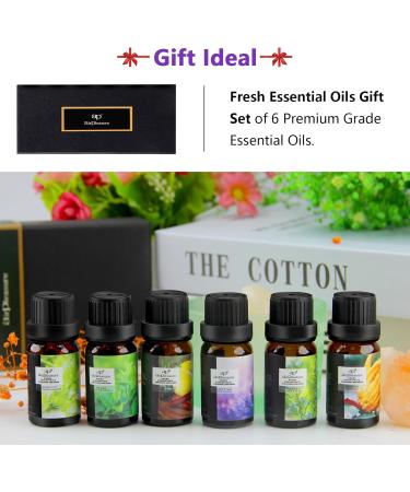 Fresh Essential Oils Set - 6x10ml Aromatherapy Gift Kit for Diffusers & Humidifiers - Tea Tree Lavender Peppermint & More - Buy Online on GoSupps.com