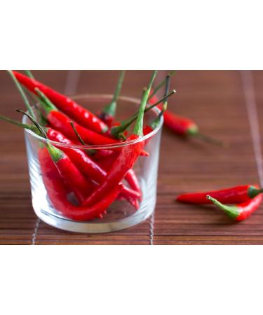 Tasty Pott Organic Chilli Powder 250g | Cooking & Seasoning | Roasted Grilled Marinade Spicy Spicy Spicy Spicy Spicy Spicy & Spicy | Premium Organic Quality | Refill Pack - Buy Online on GoSupps.com