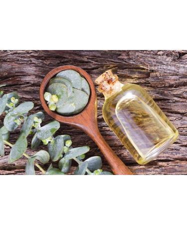 Pure Eucalyptus Oil ShowerMist & Steam Room Spray - 8oz All-Natural Aromatherapy Essential Oil - Buy Online on GoSupps.com