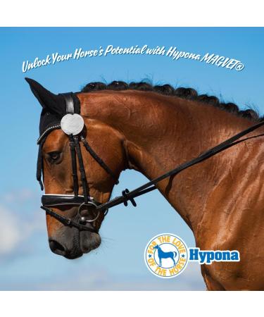 Hypona MAGVET Natural Magnesium Supplement for Horses Calms & Balances Calcium-Magnesium Levels for Optimal Performance - Buy Online on GoSupps.com