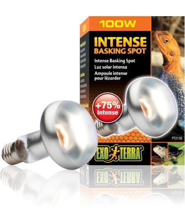 Exo Terra Intense Basking Spot Lamp 100W - R25 E27 Heat Spot for Reptiles & Amphibians | International Shipping - Buy Online on GoSupps.com