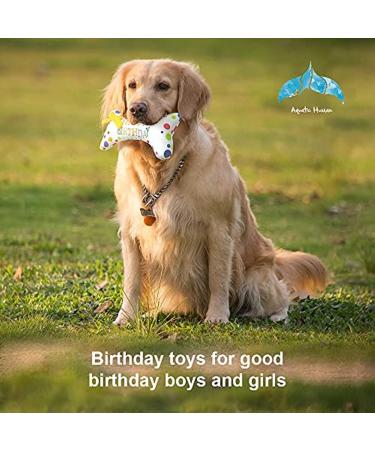 Runfar Soft Plush Dog Toy Set - Durable Cake & Bone Toys for Puppies & Small to Medium Dogs - Buy Online on GoSupps.com