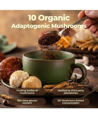 Mushroom Coffee with 10 Adaptogenic Mushroom(Lion's Mane, Cordyceps, Turkey Tail & Other) Mixed, Ashwagandha Probiotic Instant Coffee for Better Energy, Gut Health, Focus, Digestion, Immunity 7.41oz 7.41oz(210g) - Buy Online on GoSupps.com