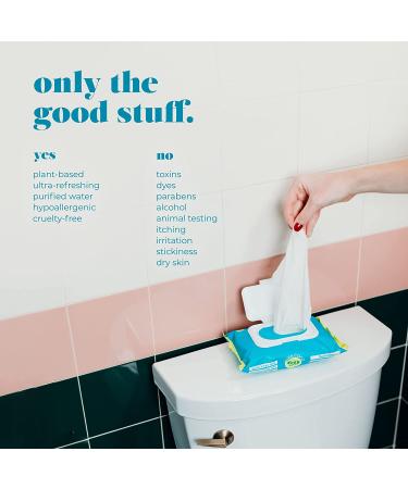 Goodwipes Flushable & Biodegradable Wipes with Botanicals | 180 Count (3 Packs) | Shea-Coco with Aloe | At-Home Use Safe | Septic-Sewer Safe - Buy Online on GoSupps.com