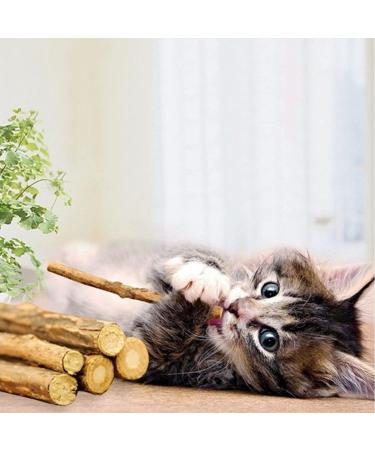 Meowijuana King Size Silvervine Sticks Bundle - Natural Matatabi Chew for Cats | High Potency Cat Treat | Dental Health | Catnip Alternative - Buy Online on GoSupps.com