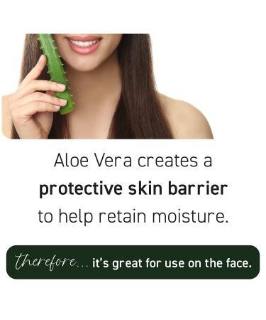 New York Biology Aloe Vera Gel with Tea Tree Oil â€“ 2 Pack | Moisturizing Sunburn Relief & Skin Care - 16 oz Each - Buy Online on GoSupps.com