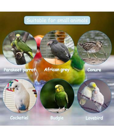 Hamiledyi Parrot Automatic Bath Tub - Multifunctional Bird Bathtub for Cockatiel, Parakeet, Finch, Canary, and Small Medium Birds - Buy Online on GoSupps.com