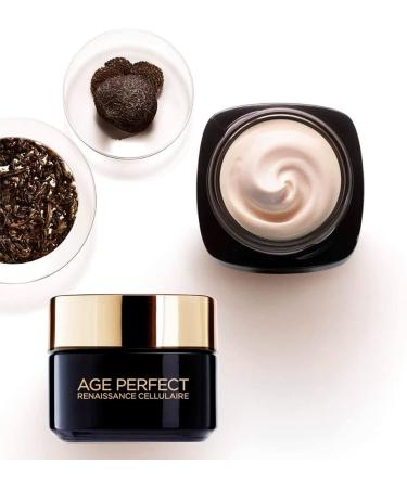  L'Oreal Paris L'Or al Paris Age Perfect Renaissance Cellular Revitalizing Face Cream with Black Truffle and Black Tea Illuminating Smoothing Toning Sun Protection SPF 15 for Mature Skin - 2 x 50 ml Jars - Buy Online on GoSupps.com