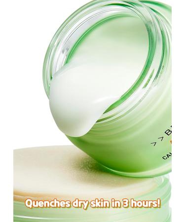 BRING GREEN Artemisia Cera Calming Moisture Gel Cream | Vegan Glass Skin Daily Skincare for Intense Moisturization for Dry Oily skin Calming Sensitive Skin Irritated Skin 2.53 Fl. Oz. - Buy Online on GoSupps.com