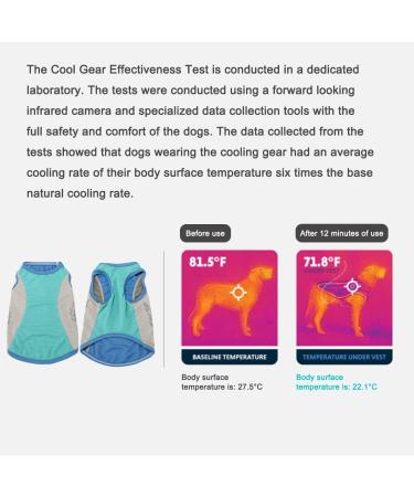 Light Dog Cooling Vest | Breathable T-Shirt with UV Protection | Reflective Dog Jacket for Small to Medium Dogs | Spring & Summer Blue - Buy Online on GoSupps.com