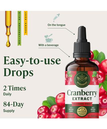 HERBAMAMA Cranberry Supplement Tincture - Vegan Urinary Tract Support for Men and Women with Cranberry Extract - Non-GMO Alcohol & Sugar-Free Kidney Support Supplement 84-Day Supply 4 Fl Oz (Pack of 1) - Buy Online on GoSupps.com