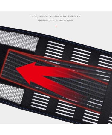 Back Support Back Brace Lumbar Support Lightweight Breathable Lumbar Support Belt Lower Back Brace Waist Trainer Trimmer Back Support Belt(Black XX-Large) XX-Large Black - Buy Online on GoSupps.com