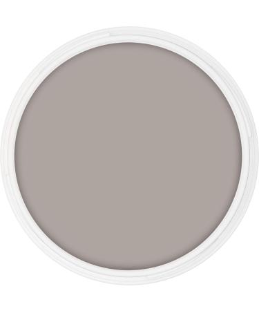 Kryolan Pintura Water Color 25ml - Gray Washable Vegan Perfume-Free Paraben-Free & Gluten-Free - Perfect for Children Parties Carnival & Halloween - Buy Online on GoSupps.com