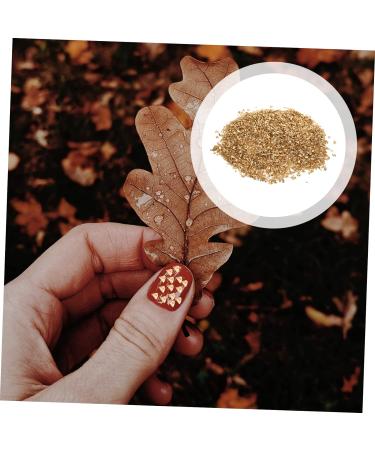 Beaupretty 1 Glass Chip Metallic Chips for Nail Arts Crushed Irregular Glass Socking Stuffers Irregular Glass Sequins Shiny Nail Glitter Resin Gems for Nails Epoxy Charms Scrapbook 3d Vintage 0.5X0.3cm Golden - Buy Online on GoSupps.com