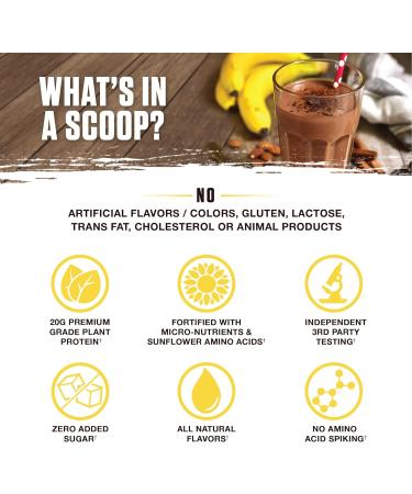 Ambrosia Planta - Premium Plant-Based Protein | Vegan & Keto Friendly | Gourmet Flavors with No Bloating or Stomach Upset | No Added Sugar | 14 Servings | (Banana Maple) - Buy Online on GoSupps.com