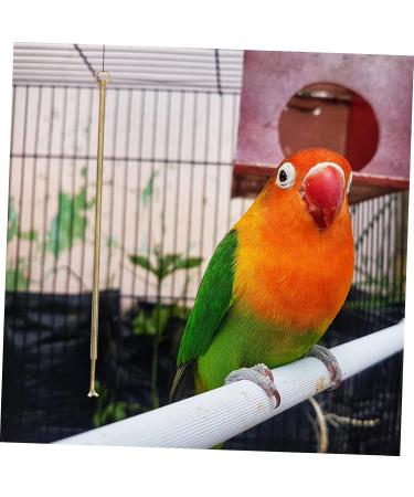 PRETYZOOM Bird Cage Cleaning Tool Bird Poop Cleaning Tools Jewelry Cleaning Kit Birds Brass Hamster 33X3X0.5CM As Shown - Buy Online on GoSupps.com