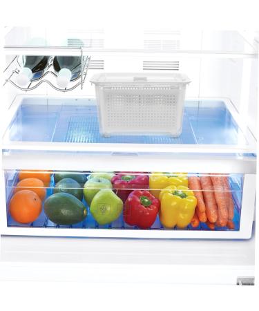 Zerodeko Box 2 Refrigerator Crisper Fridge Storage Containers Food Container Storage Box Japanese-style - Buy Online on GoSupps.com