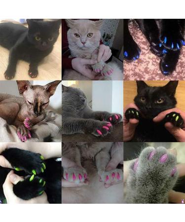 200 Pieces Cat Dog Nail Covers - Colorful Soft Claws Protection | Adhesive Applicators & Instructions - Buy Online on GoSupps.com