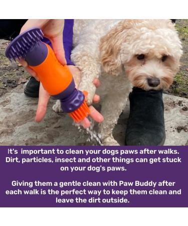 Paw Buddy Dog Brush - Grooming Tool for Healthy and Shiny Fur - Buy Online on GoSupps.com