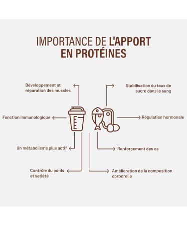 Beverly ZERO DELICATESSE | 1kg | 85% Hydrolyzed Whey Protein | With Digezyme and Tolerase | Muscle Mass and Strength | Free Blender (CHOCOLATE ORANGE) - Buy Online on GoSupps.com