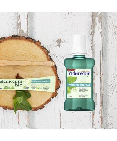 Buy Vademecum Bio Certified Toothpaste | Natural Fresh Mint Flavor | Vegan Formula | 75ml Tube | 99% Natural Ingredients - International Shipping Available - Buy Online on GoSupps.com