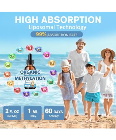 15-in-1 Liposomal Vitamin B Complex Pro B Complex Drops with Vitamin B1 B2 B3 Niacinamide Choline B5 B6 B7 Biotin Inositol Folate B12 Zinc Lutein Zeaxanthin Taurine Vitamin C 2 fl oz - Buy Online on GoSupps.com