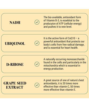 NADH 50 mg Plus CoQ10 200 mg NADH Capsules - Energy and Fatigue Support ATP Production - 60 Counts for 60-Day Supply 60 count (Pack of 1) - Buy Online on GoSupps.com
