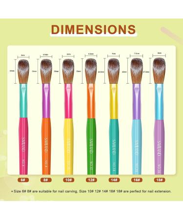 Saviland 7PCS Acrylic Nail Brush Set for Nail Art Powder Extension - Sizes 6/8/10/12/14/16/18 - Buy Online on GoSupps.com