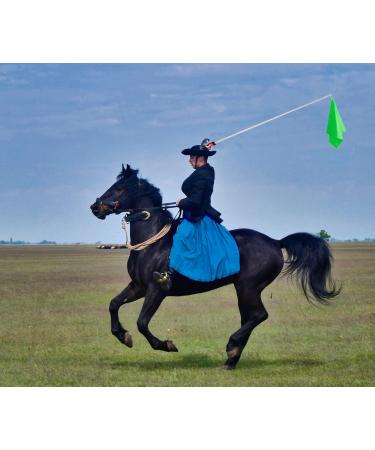 Horse Training Flag with Extendable Stainless Flagpole 5 Color Equestrian Training Flags Pole Horse Training Equipment with Telescoping Handheld Flagpole for Horse Lunging Training - Buy Online on GoSupps.com