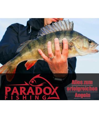 Paradox Fishing Angel Vortians Set #14 - 100/150 Pieces | Premium Vertebrae Fishing Accessories with Carabiner | Optimize Your Fishing Experience - Buy Online on GoSupps.com
