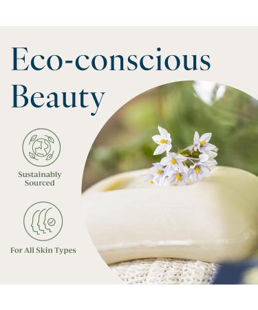 Provence Sante Luxury French Cleansing Bar - Moisturizing Shea Butter - Triple-milled Linden Fragrance 2.7oz (Pack of 6) - Buy Online on GoSupps.com